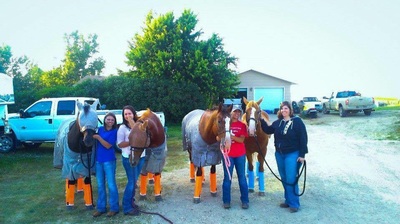 Orange Shoofly Leggins on Horses